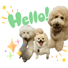 YAMADA_20251217001946