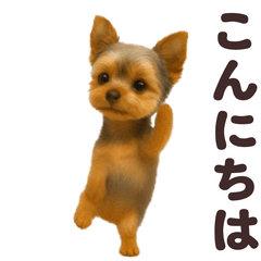 踊る！ヨークシャテリア