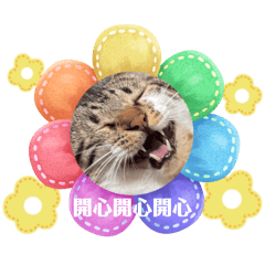 余氏有個小寶貝。