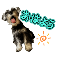 Cooper_20251216225523