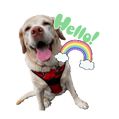 natsumi_20251217041338