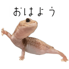 Kakutei Inkya_20251217014619