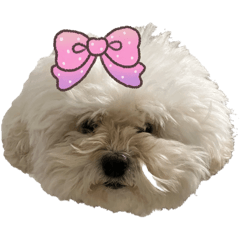 ponmama_20251217080721