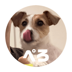 yoshida_20251217085624