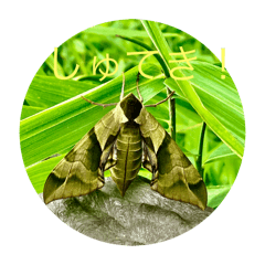 soucho_20251215175227