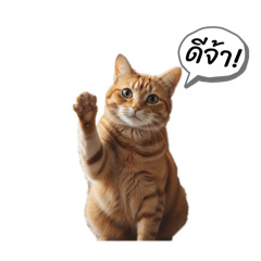 SilverBullet_20251216231645