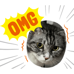 Nam Prik_20251216221932