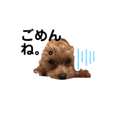 tsuki_20251216213514