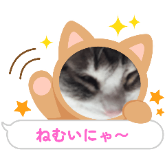 Yoshi_20251216215523