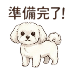 Chomo_20251216220331