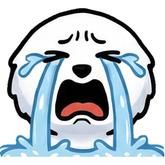 Overreaction Scottish Fold 1