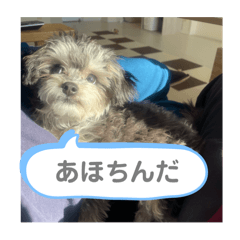 miiii_20251217002314