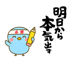 ukarun_20251217002432