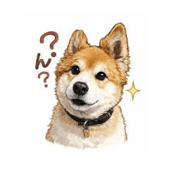 noahs family_20251217003951