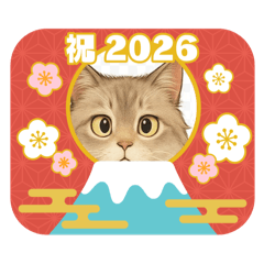 nyanko_2025121700