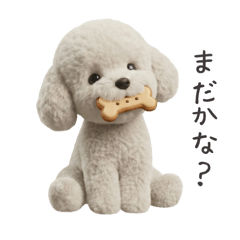 Taki Madoka_20251217123047