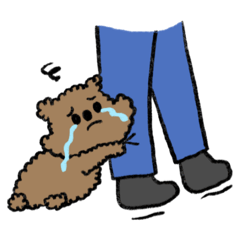 หมีขนฟูตัวนี้น่ารักที่สุด