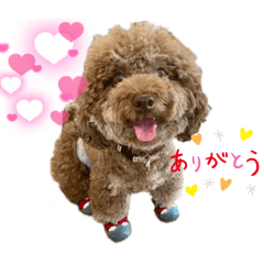 naochan_20251217023008