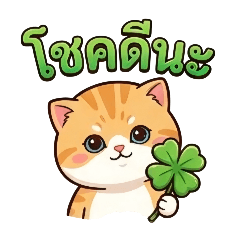 pin&dai_20251217103552