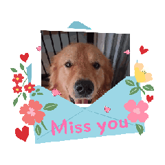 นมเปรี้ยว & เมทัล น้องหมาน่ารัก 3