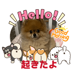 kentakun_20251216073242