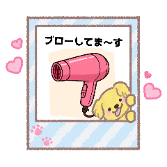 yoshi_20251216023029