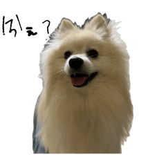 Mochi_20251217071546