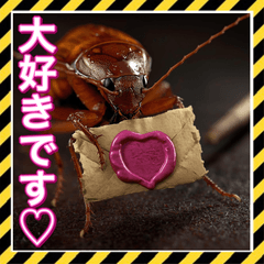 sekai no heiwa_20251217090520