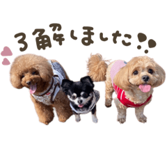 wakana_20251217170457