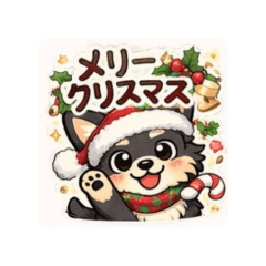 Izumo_20251217102106