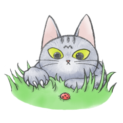 CAT near the Engineer