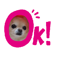 MOEMI_20251217160511