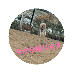 misato_20251217181319