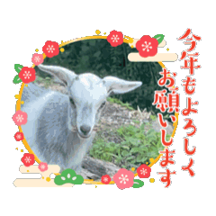 Yagi-world_20251217191836