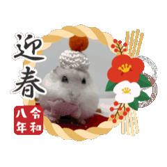 iku_20251217202620