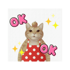 kazue_20251217223157