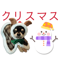 Ririka_20251217191419