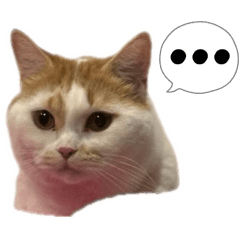 Snow & Rodtang Ver.2