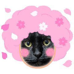 yamato_20251217171635