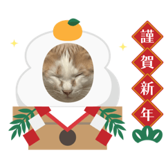 daikichisan2026
