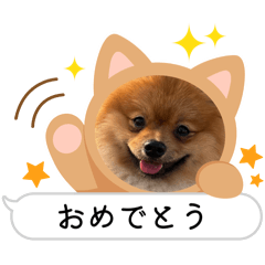 Layla_20251217200843