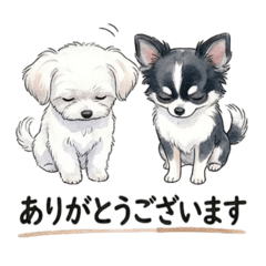 kaori_20251217201249