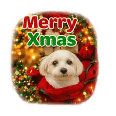 michi-sango_20251217142338