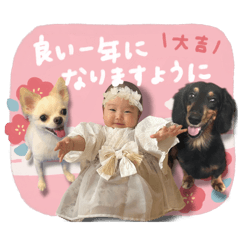 haruka_20251217185220