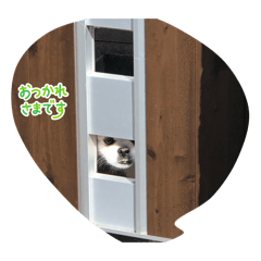 ikrt43431_20251217154503