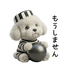 Taki Madoka_20251217154508