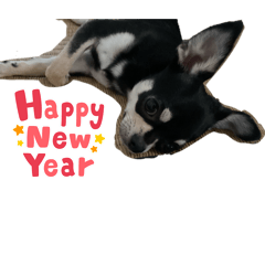 Ririka_20251217165217