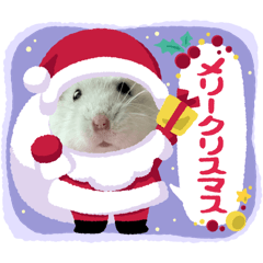 iku_20251217165221
