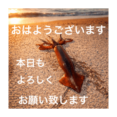 momotaroko_20251217202141