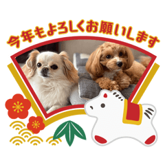 chaco_20251217195607